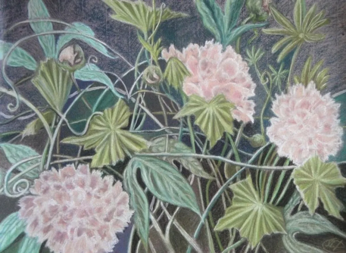 Пионы. 2011. Бумага, пастель. 43х53