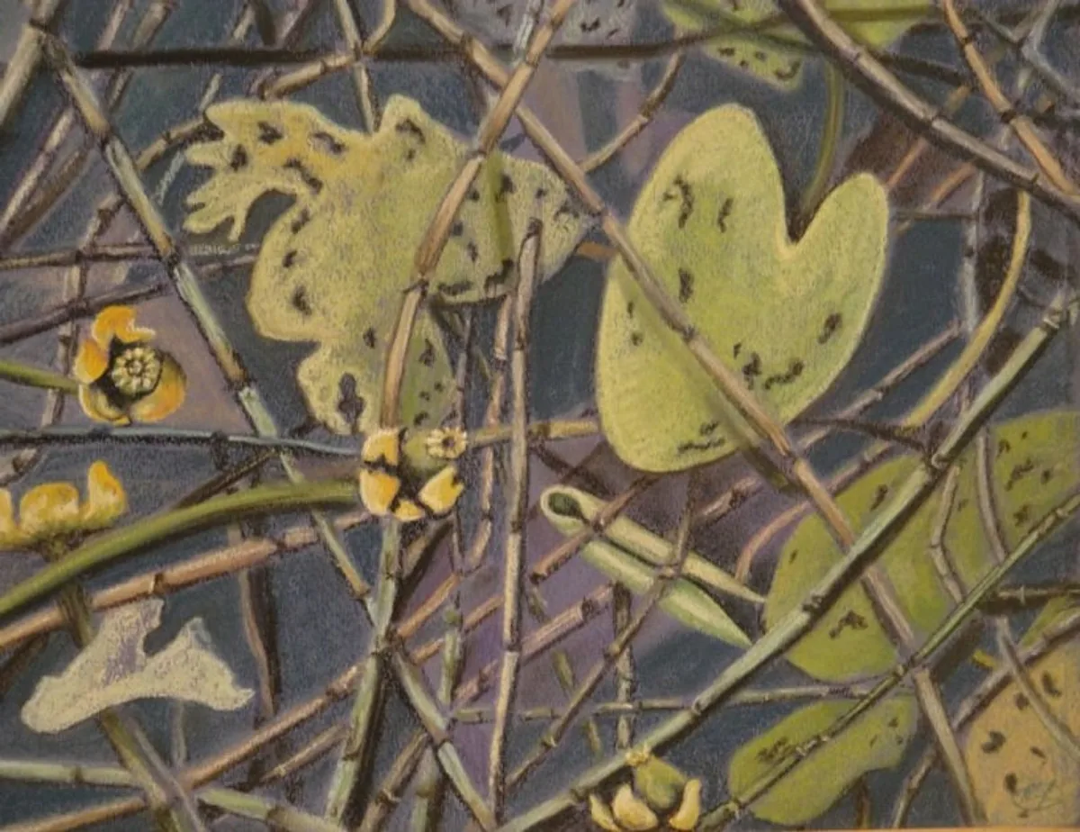 Заросший пруд. 2011. Бумага, пастель. 32х42