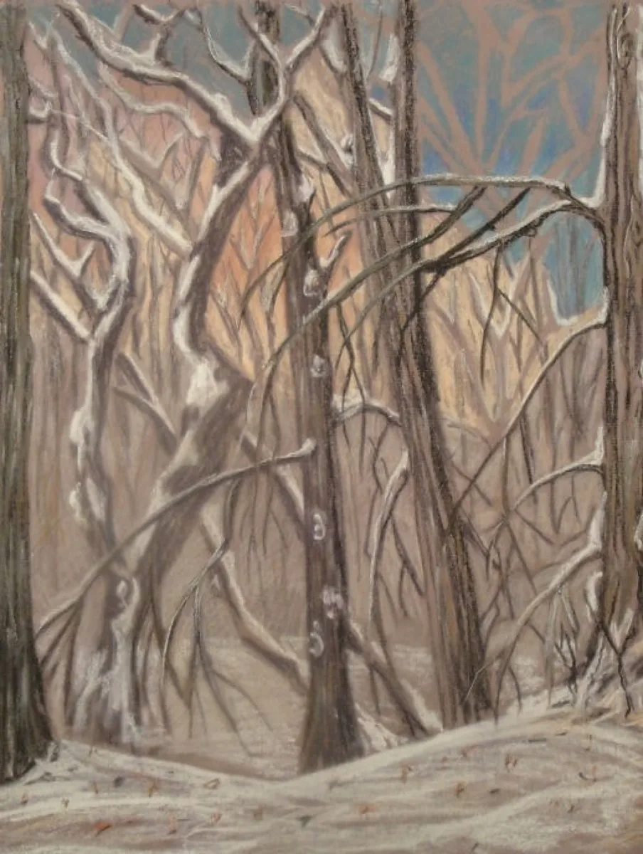 Воробьевы горы. 2012. Бумага, пастель. 60х50