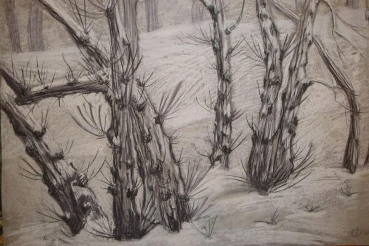Хмуро-холодно. 2012. Бумага, пастель. 50х75