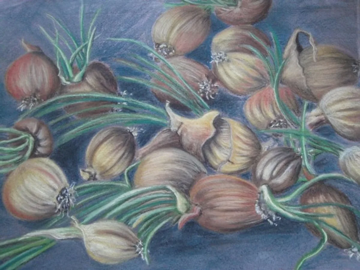 Лук. 2011. Бумага, пастель. 32х42