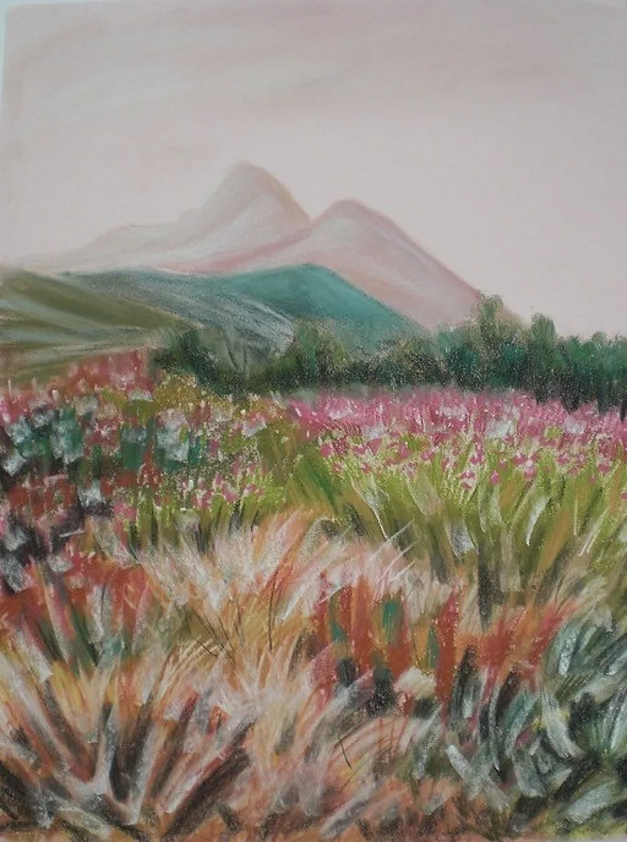 Розовая долина. Пирин. Болгария. 2009. Бумага, пастель. 62х49