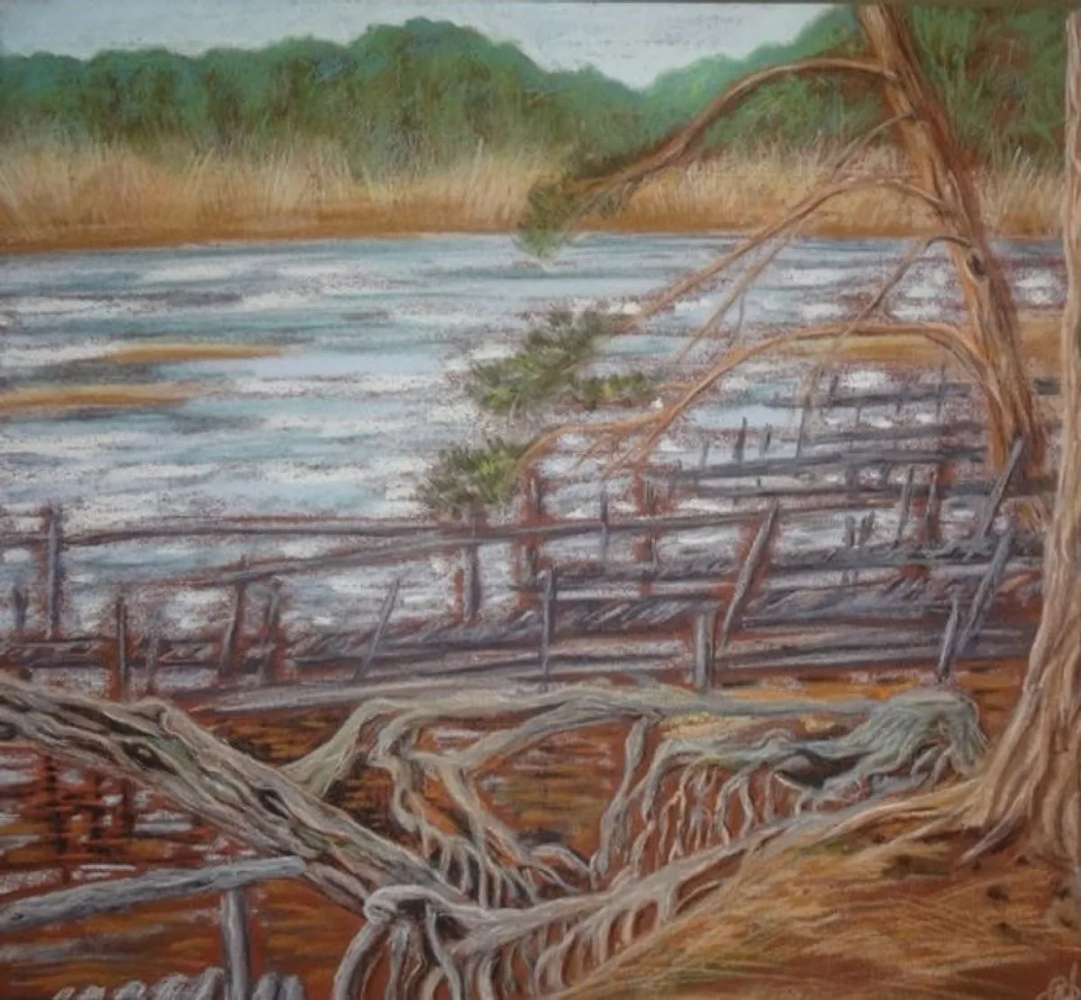 Коряжник. Волга. 2013. Бумага, пастель. 52х56