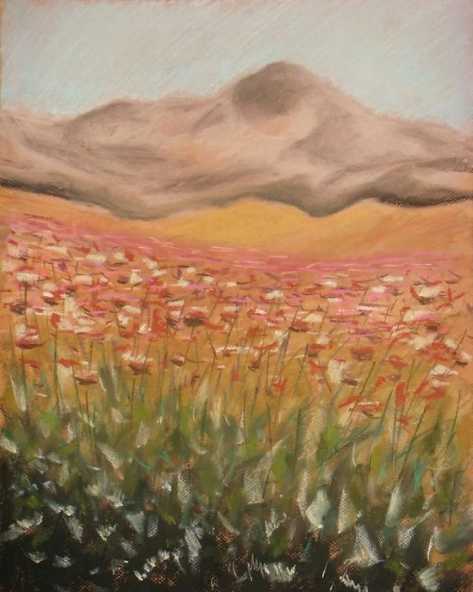 Долина. Пирин. Болгария. 2010. Бумага, пастель. 49х37