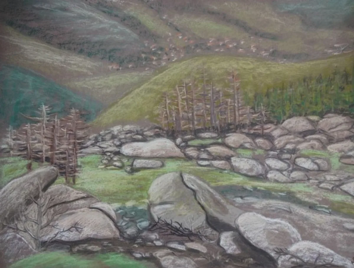 На Витоше. Болгария. 2014. Бумага, пастель. 50х65