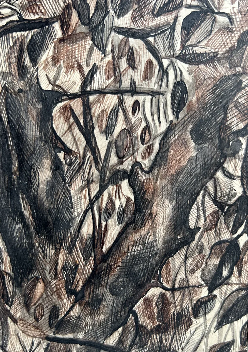 Баньян. 1988. Бумага, тушь. 15х10